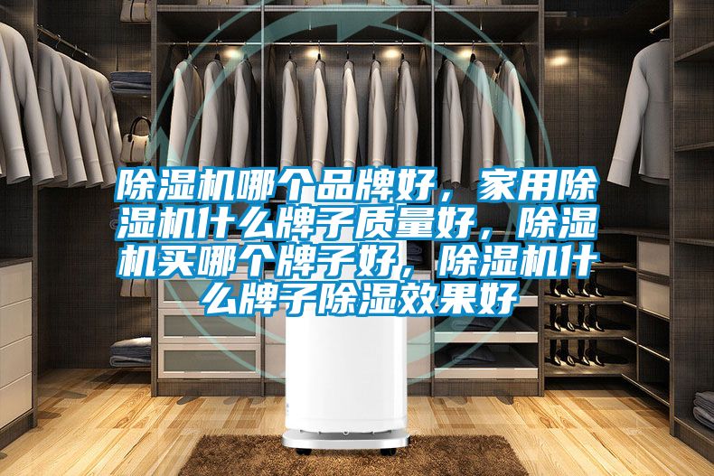 除湿机哪个品牌好，家用除湿机什么牌子质量好，除湿机买哪个牌子好，除湿机什么牌子除湿效果好