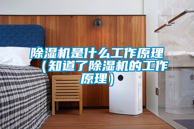 除湿机是什么工作原理（知道了除湿机的工作原理）