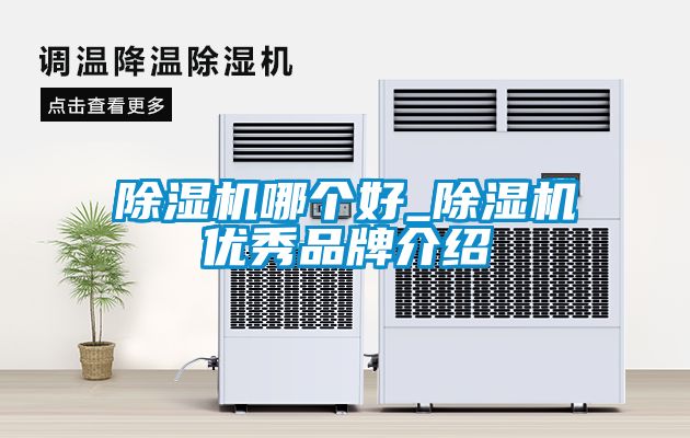 除湿机哪个好_除湿机优秀品牌介绍