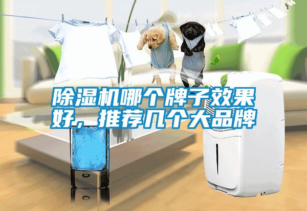 除湿机哪个牌子效果好，推荐几个大品牌