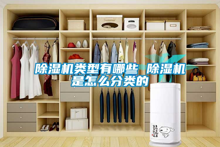 除湿机类型有哪些 除湿机是怎么分类的
