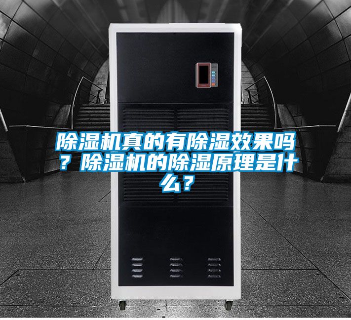 除湿机真的有除湿效果吗？除湿机的除湿原理是什么？