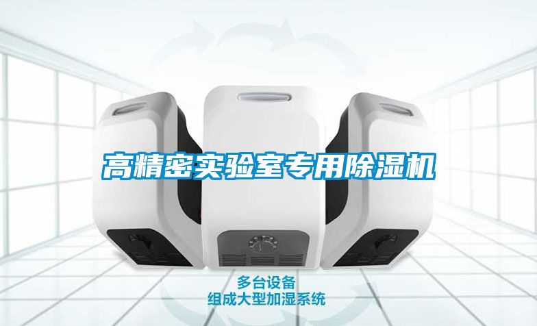 高精密实验室专用除湿机