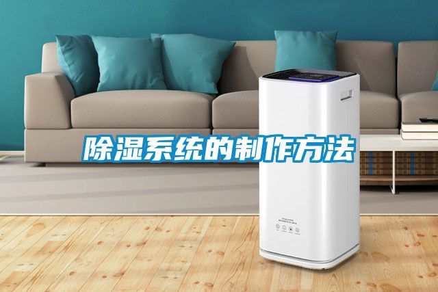 除湿系统的制作方法