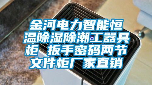金河电力智能恒温除湿除潮工器具柜 扳手密码两节文件柜厂家直销