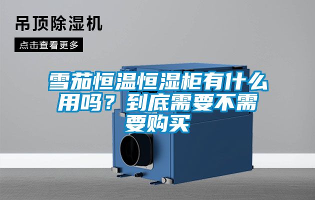 雪茄恒温恒湿柜有什么用吗？到底需要不需要购买