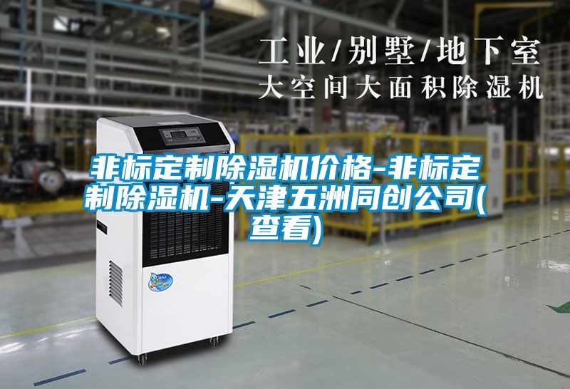非标定制除湿机价格-非标定制除湿机-天津五洲同创公司(查看)
