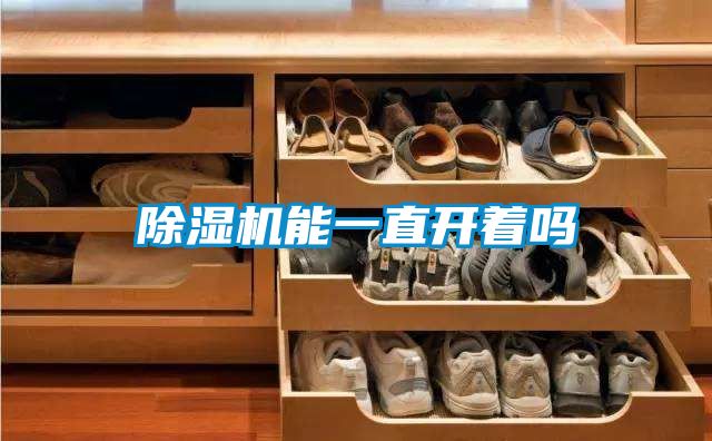除湿机能一直开着吗