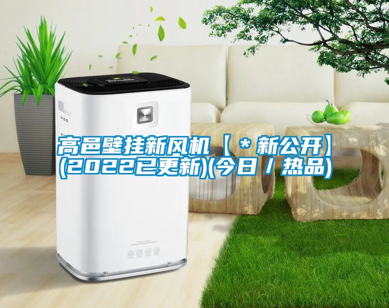 高邑壁挂新风机【*新公开】(2022已更新)(今日/热品)
