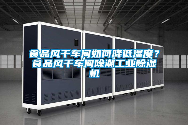 食品风干车间如何降低湿度？食品风干车间除潮工业除湿机