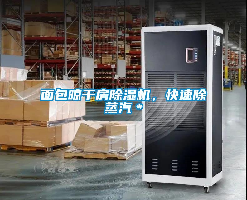 面包晾干房除湿机，快速除蒸汽＊