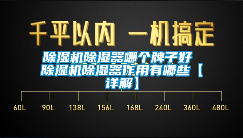 除湿机除湿器哪个牌子好 除湿机除湿器作用有哪些【详解】