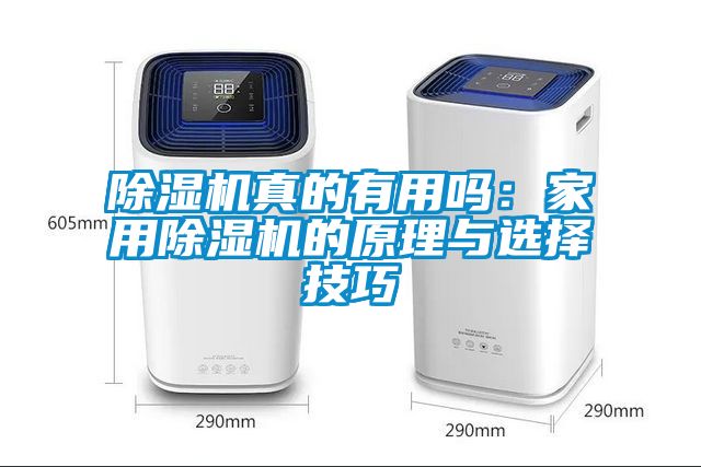除湿机真的有用吗：家用除湿机的原理与选择技巧