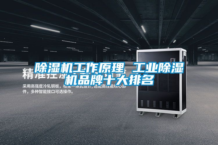 除湿机工作原理 工业除湿机品牌十大排名