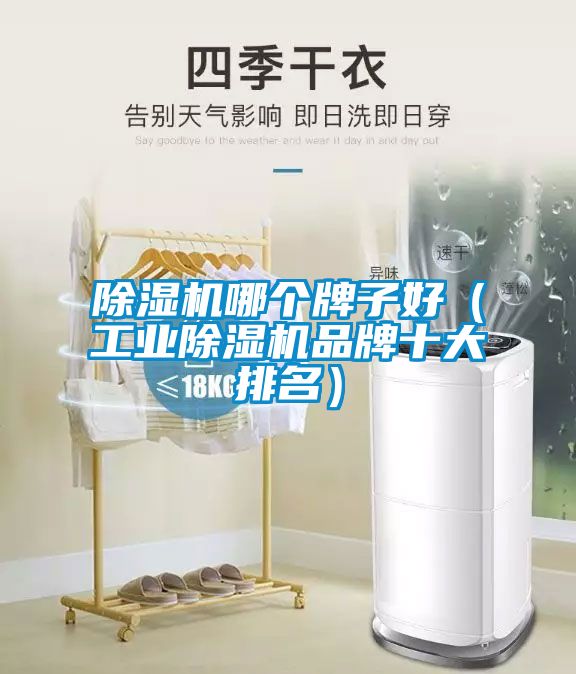 除湿机哪个牌子好（工业除湿机品牌十大排名）