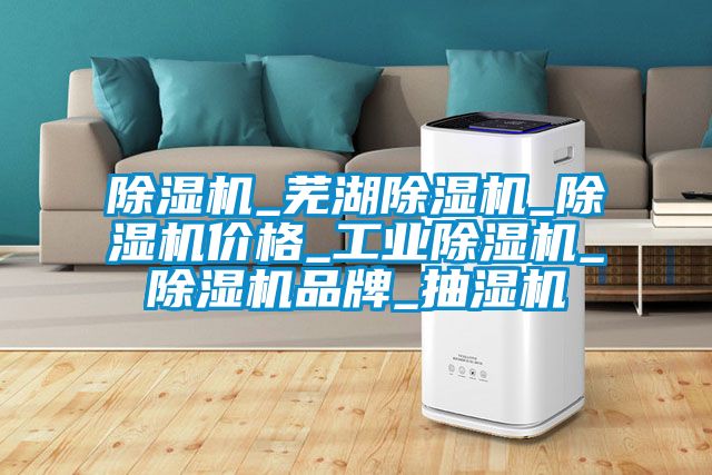 除湿机_芜湖除湿机_除湿机价格_工业除湿机_除湿机品牌_抽湿机