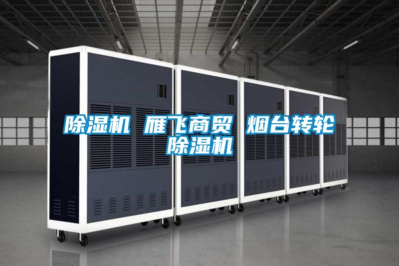 除湿机 雁飞商贸 烟台转轮除湿机