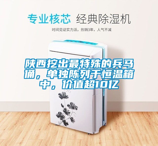 陕西挖出最特殊的兵马俑，单独陈列于恒温箱中，价值超10亿
