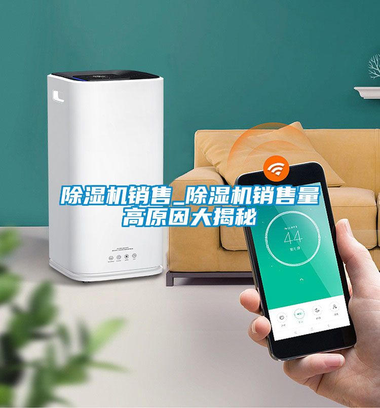 除湿机销售_除湿机销售量高原因大揭秘