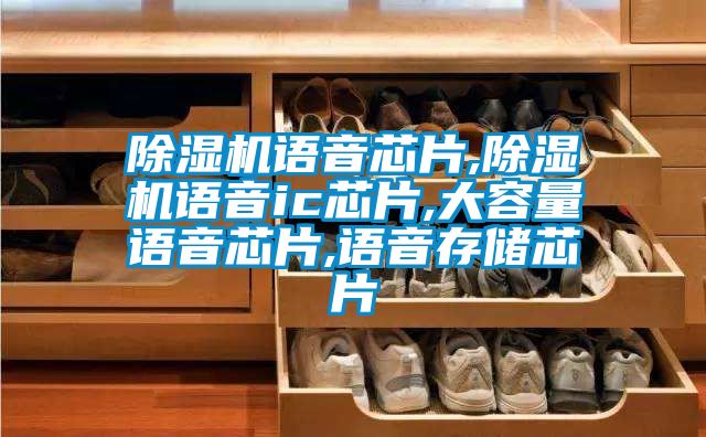 除湿机语音芯片,除湿机语音ic芯片,大容量语音芯片,语音存储芯片
