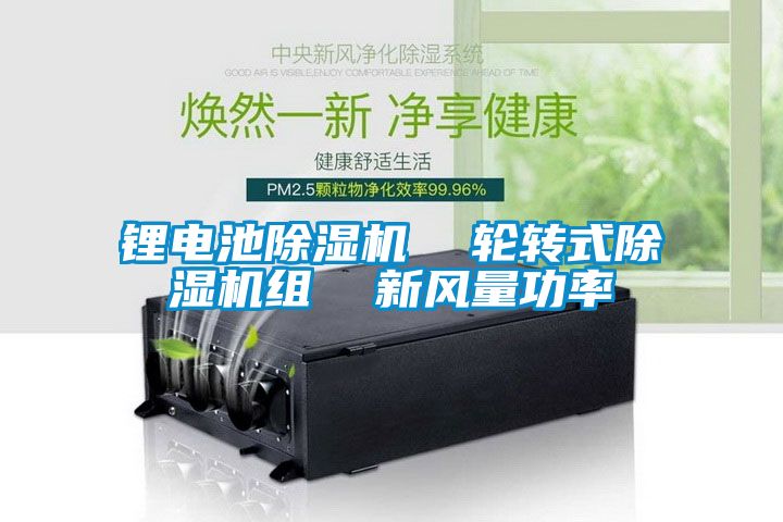 锂电池除湿机  轮转式除湿机组  新风量功率