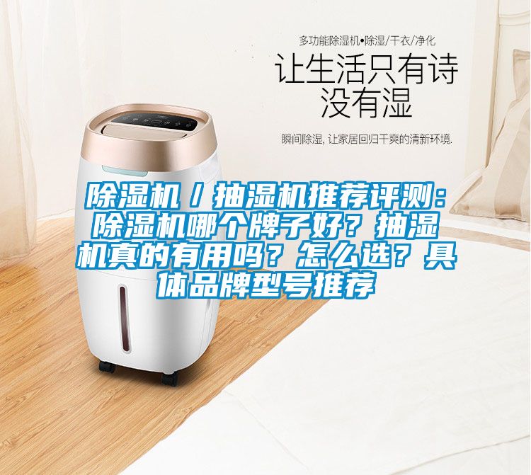 除湿机／抽湿机推荐评测：除湿机哪个牌子好？抽湿机真的有用吗？怎么选？具体品牌型号推荐
