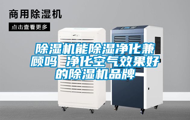 除湿机能除湿净化兼顾吗 净化空气效果好的除湿机品牌