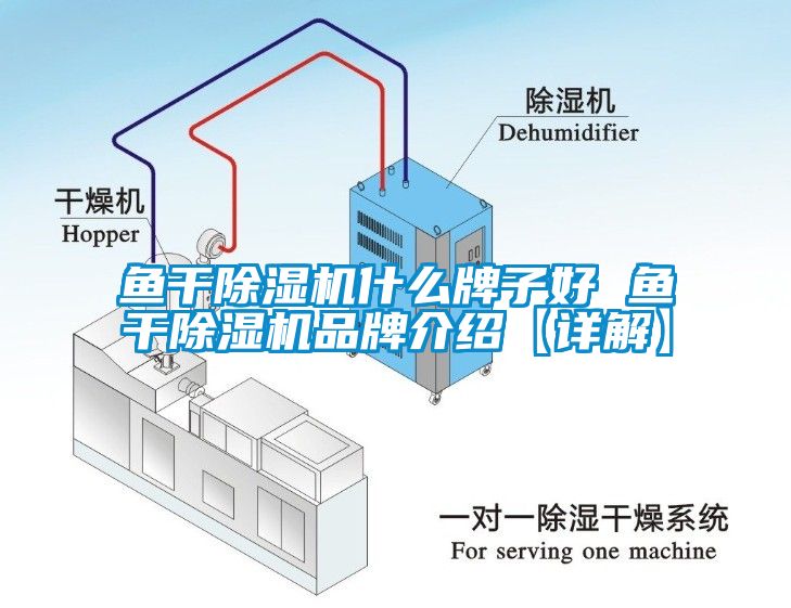 鱼干除湿机什么牌子好 鱼干除湿机品牌介绍【详解】