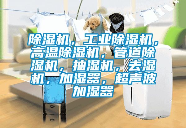 除湿机，工业除湿机，高温除湿机，管道除湿机，抽湿机，去湿机，加湿器，超声波加湿器