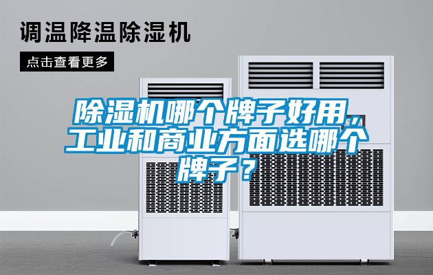 除湿机哪个牌子好用，工业和商业方面选哪个牌子？