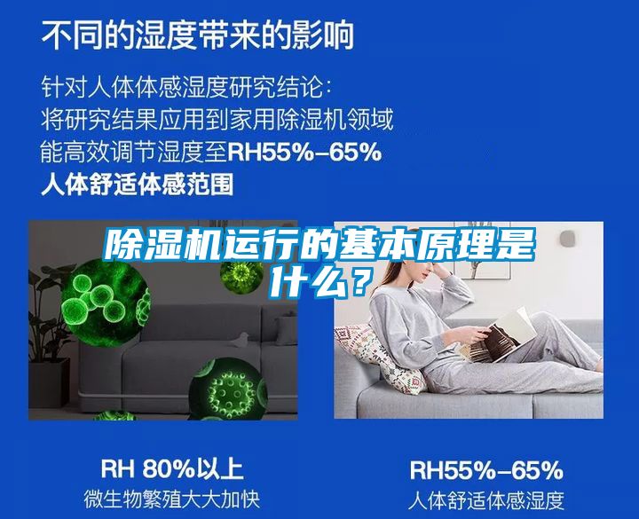 除湿机运行的基本原理是什么？