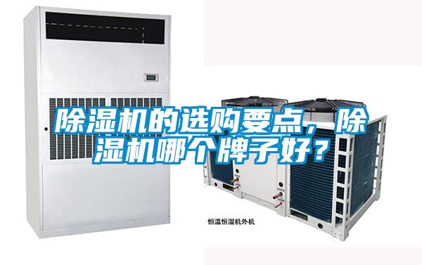 除湿机的选购要点，除湿机哪个牌子好？