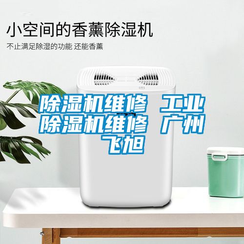 除湿机维修 工业除湿机维修 广州飞旭