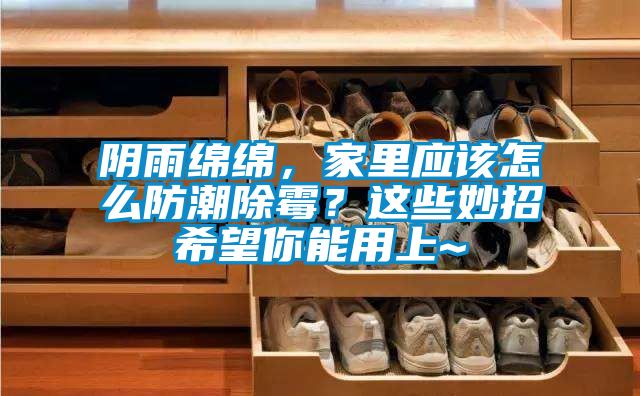 阴雨绵绵，家里应该怎么防潮除霉？这些妙招希望你能用上~