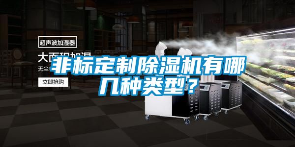 非标定制除湿机有哪几种类型？