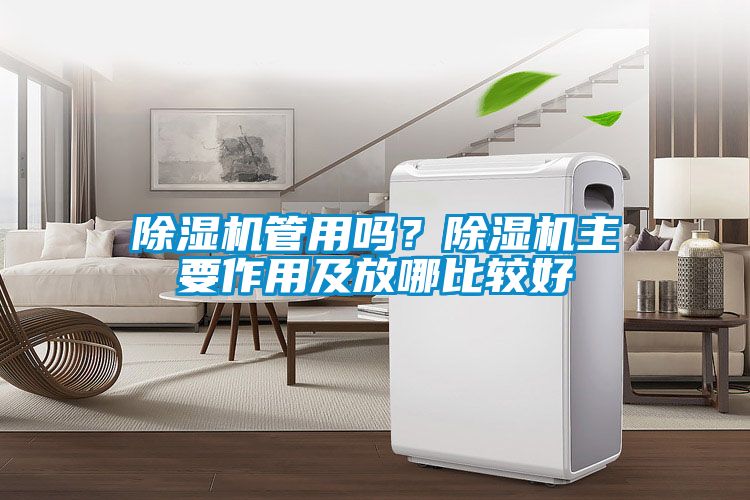 除湿机管用吗？除湿机主要作用及放哪比较好