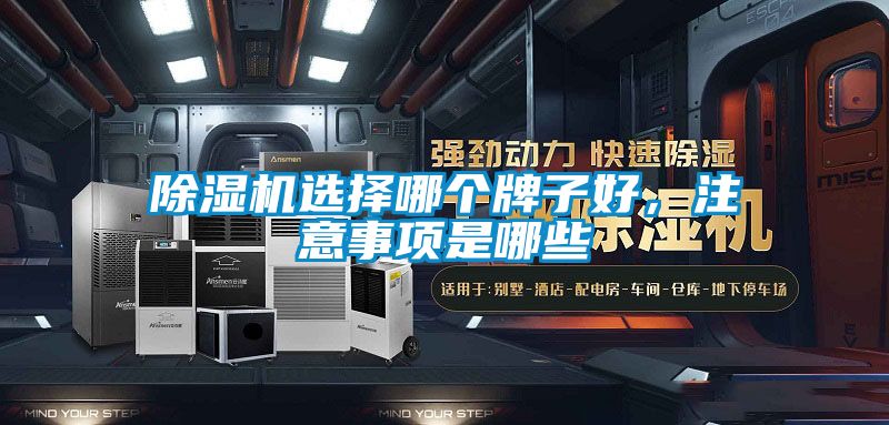 除湿机选择哪个牌子好，注意事项是哪些