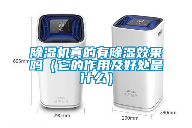 除湿机真的有除湿效果吗（它的作用及好处是什么）