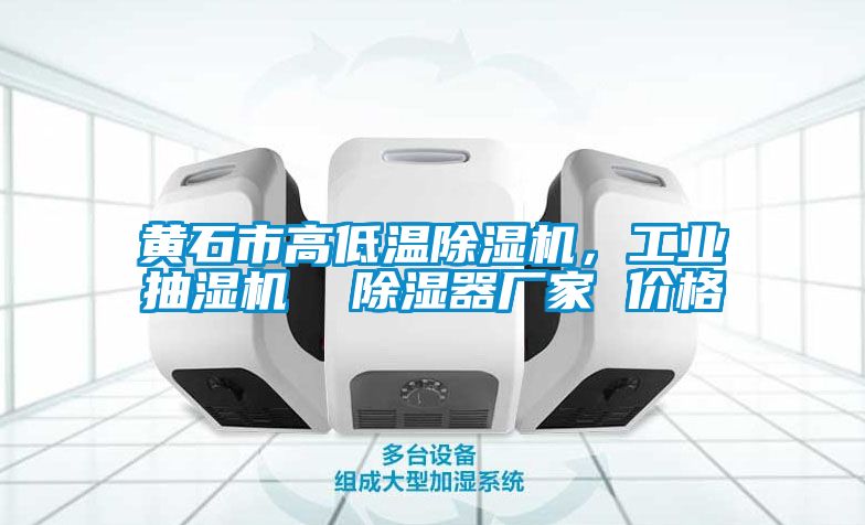 黄石市高低温除湿机，工业抽湿机  除湿器厂家 价格