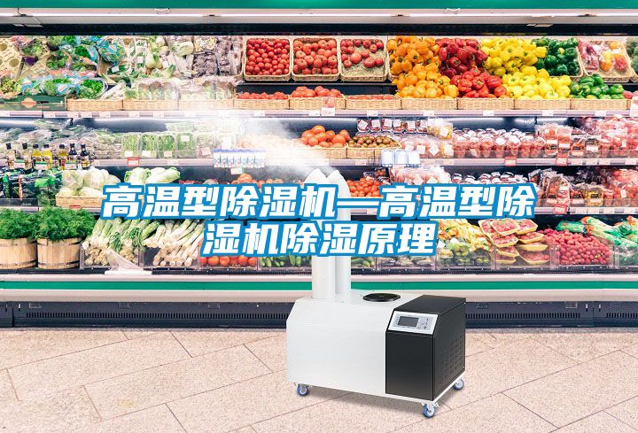 高温型除湿机—高温型除湿机除湿原理