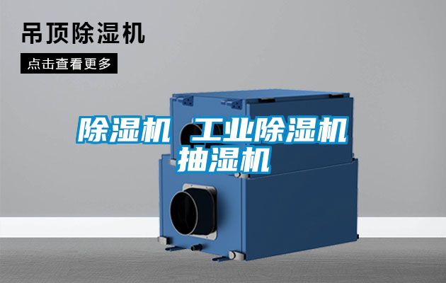 除湿机 工业除湿机 抽湿机