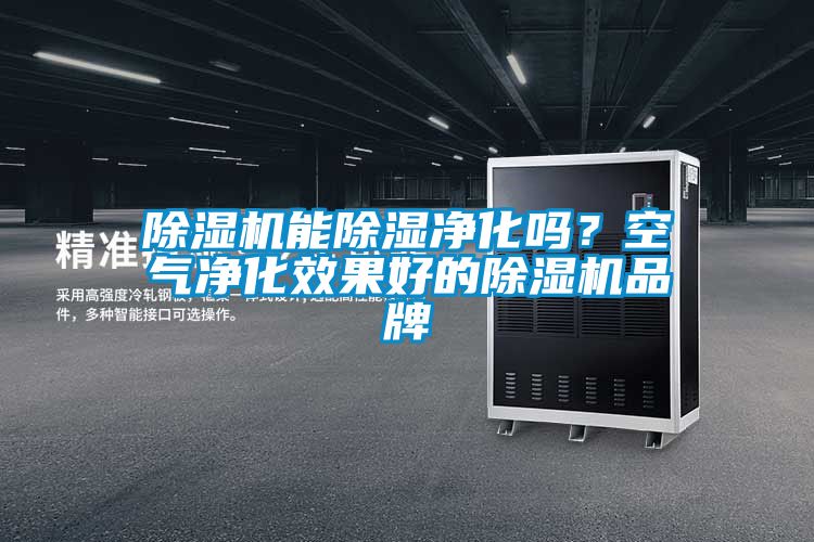 除湿机能除湿净化吗？空气净化效果好的除湿机品牌