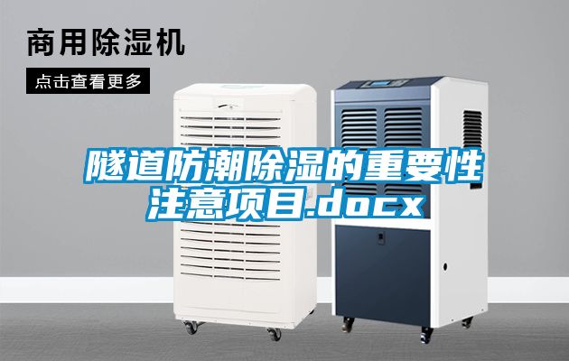 隧道防潮除湿的重要性注意项目.docx