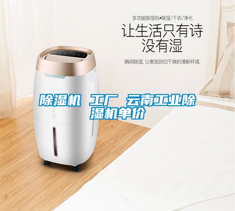 除湿机 工厂 云南工业除湿机单价