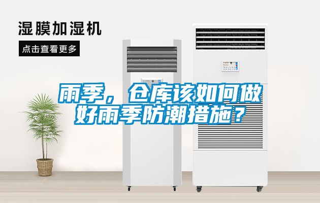 雨季，仓库该如何做好雨季防潮措施？