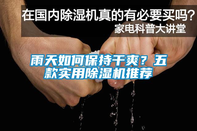雨天如何保持干爽？五款实用除湿机推荐