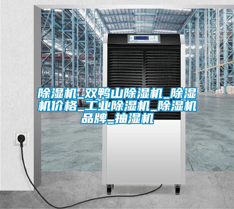 除湿机_双鸭山除湿机_除湿机价格_工业除湿机_除湿机品牌_抽湿机