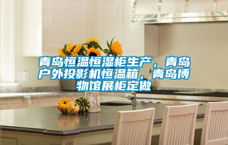 青岛恒温恒湿柜生产，青岛户外投影机恒温箱，青岛博物馆展柜定做