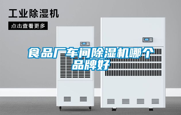 食品厂车间除湿机哪个品牌好