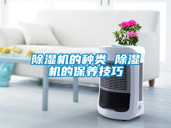 除湿机的种类 除湿机的保养技巧